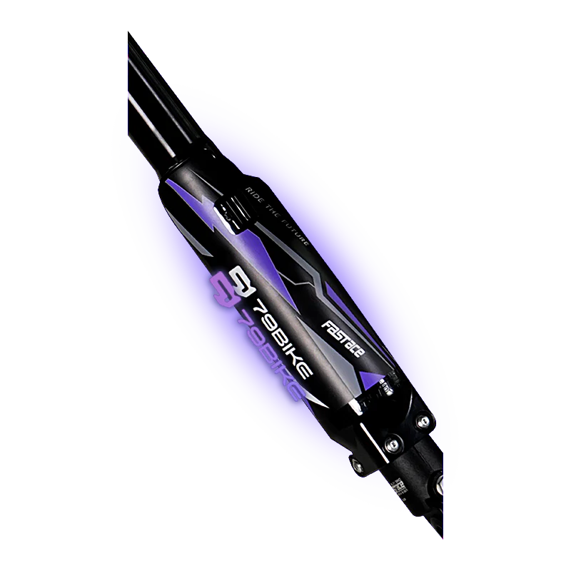 79Bike Dämpfer - Fast Ace 2.0 Gabel